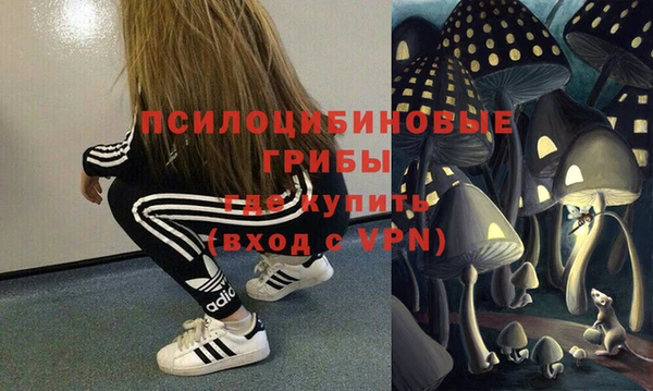 молекула духа Володарск