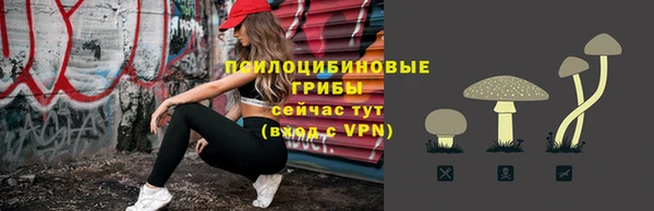стаф Верхний Тагил