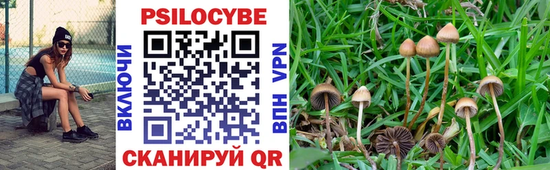 KRAKEN tor  Жиздра  Псилоцибиновые грибы MAGIC MUSHROOMS 